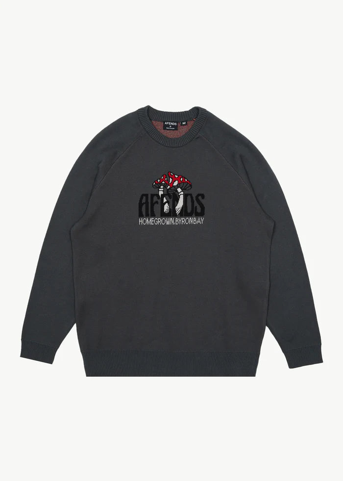 Let It Grow Raglan Knit / Charcoal