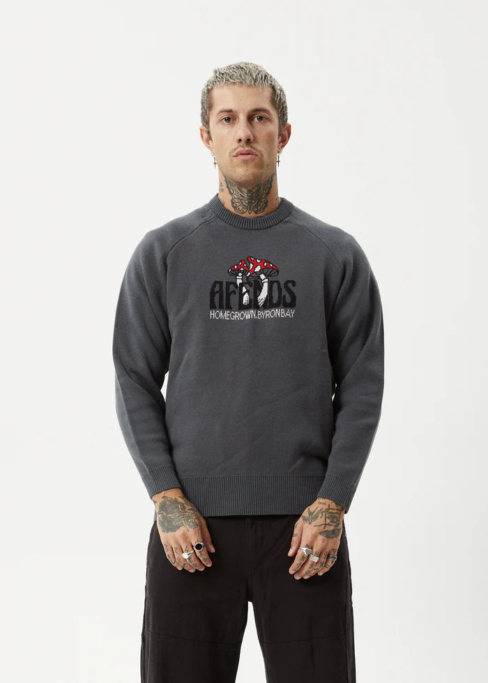 Let It Grow Raglan Knit / Charcoal