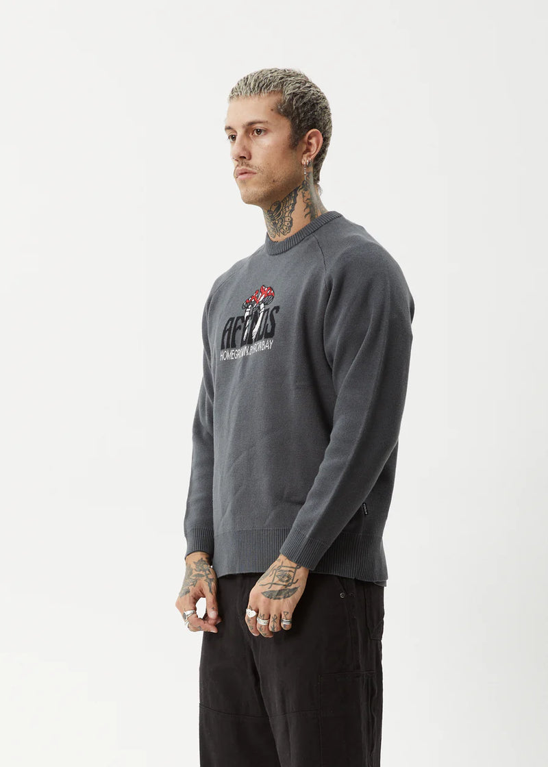 Let It Grow Raglan Knit / Charcoal