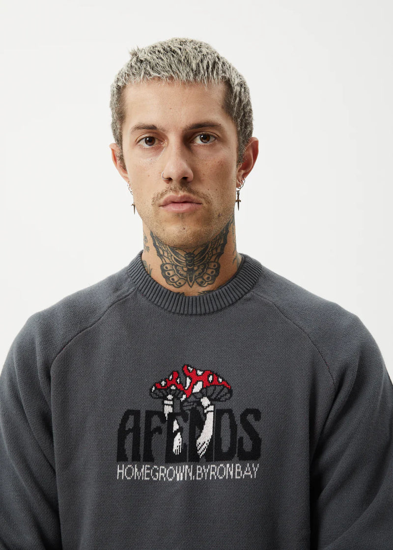 Let It Grow Raglan Knit / Charcoal
