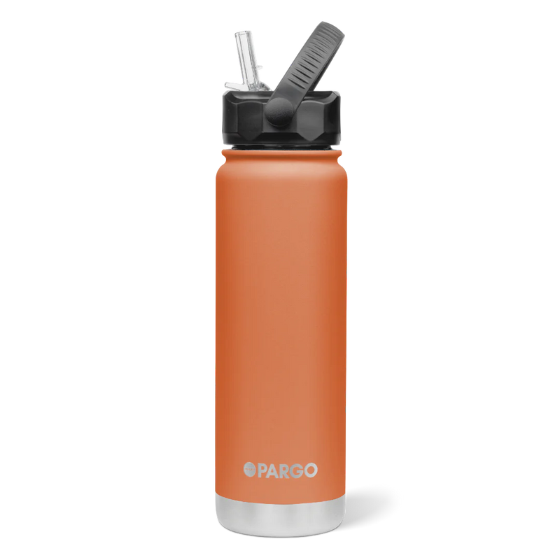 750ml Insulated Sports Bottle w/ Straw Lid