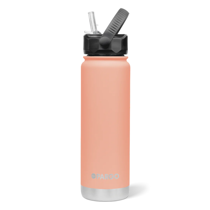 750ml Insulated Sports Bottle w/ Straw Lid