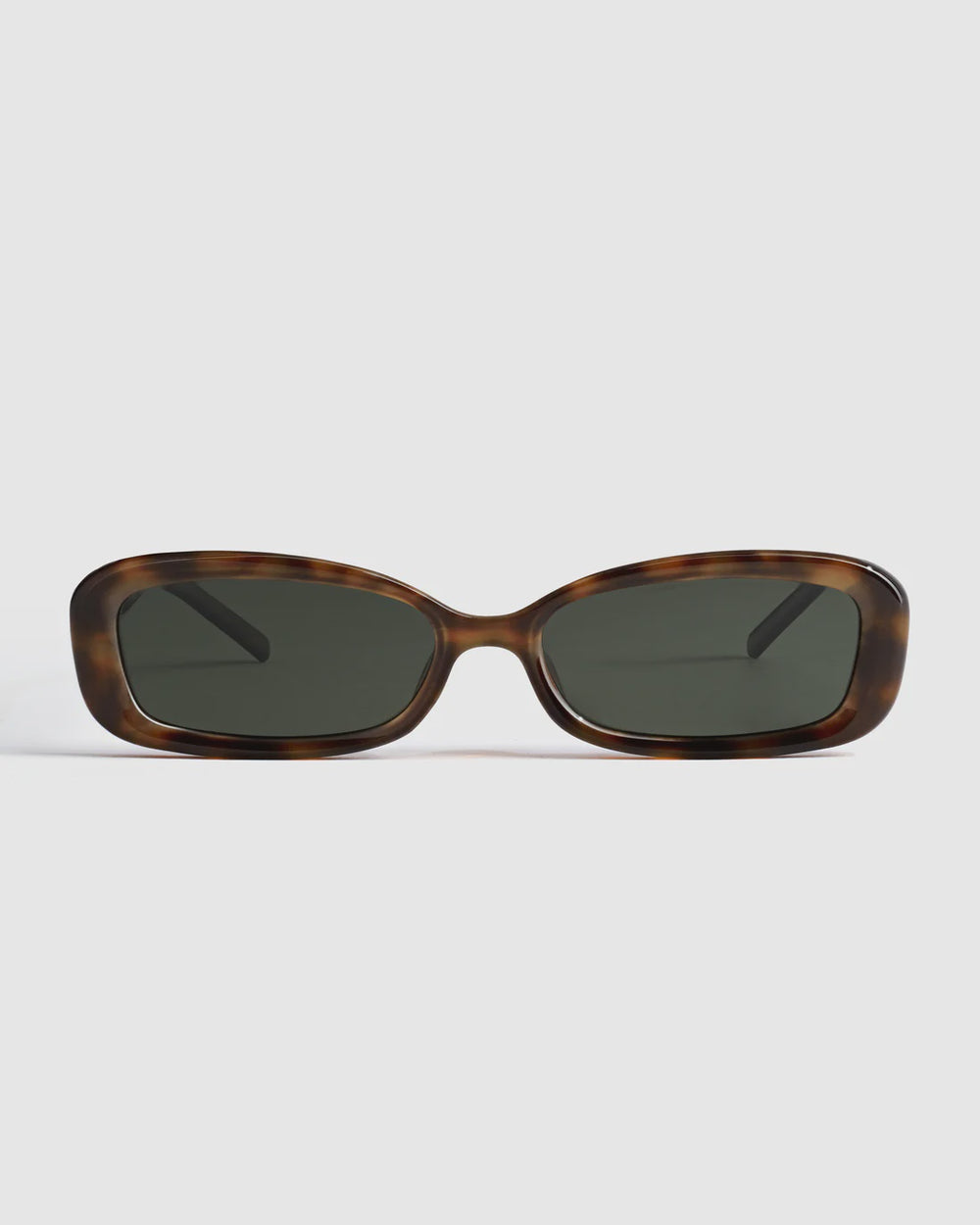 Cape Tortoise / Moss Polarised